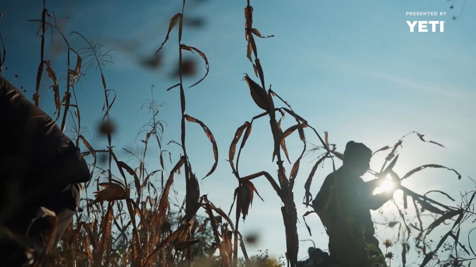 EATER X MASIENDA_01_01_28_16